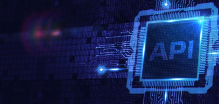 api integration service